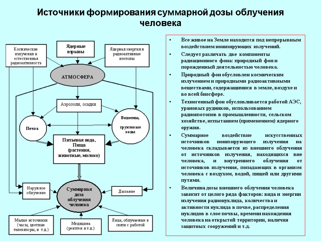 Источники формирования суммарной дозы облучения человека Все живое на Земле находится под непрерывным воздействием